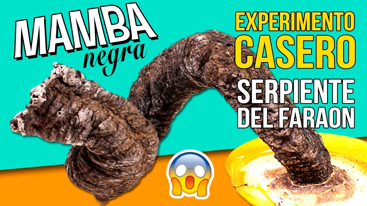 Experimento ASOMBROSO!! 🐍🐍 SERPIENTE del FARAÓN o MAMBA NEGRA