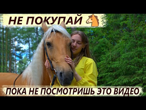 Что стоит знать, прежде чем КУПИТЬ ЛОШАДЬ