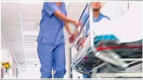 Quale di queste categorie è la principale fonte di contagio del meningococco oltre che una delle più colpite dalla patologia?