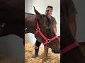 Katie Van Slyke Maggie’s Birth Story🐴🩷