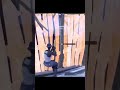 #jesus #fortnite #shorts