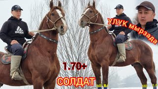 💥 СОЛДАТ 💥 УЛУКМЫРЗАДА  1.70см Пай Пай  экенго