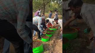 Promotion of Grow Bags in School Garden Project at Rishi Valley School-- Project By Deepam Biotek