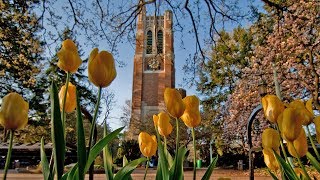Michigan State University College of Law - The Campus Experience