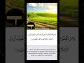 Mishary bin rashid alafasy  61 sura as saff aya 7 shorts