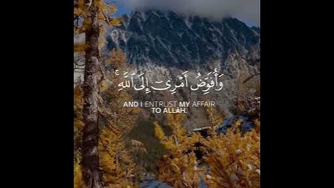 تلاوة رائعة تريح القلب💖القارئ#مشاري_العفاسي #سورة_غافر حالات واتساب مقاطع دينية قصيرة🌺☝🏻