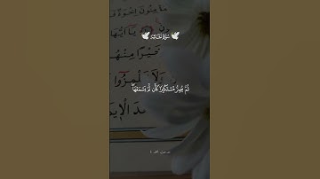 #تلاوة_مؤثرة #اكسبلور #المصحف #duet #لايك