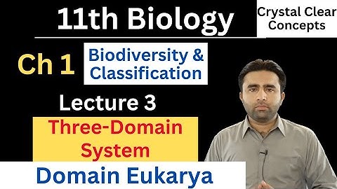 Domain Eukarya | Three Domain System of Classification | Class 11 Biology Chapter 1 | Qais Ali Khan