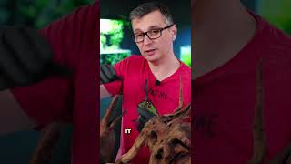 Hygrolon Makes Life Easier In Paludariums