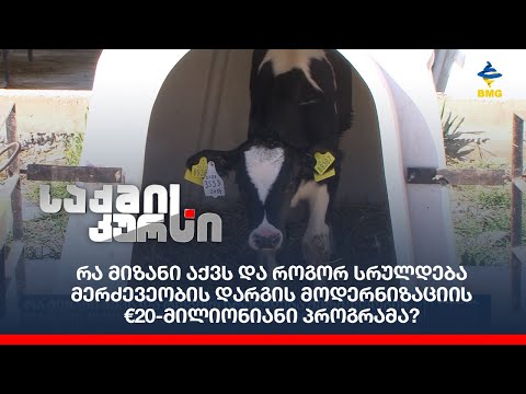 რა მიზანი აქვს და როგორ სრულდება მერძევეობის დარგის მოდერნიზაციის €20-მილიონიანი პროგრამა?