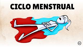O Ciclo Menstrual Explicado: Um Guia das 4 Fases e Hormônios