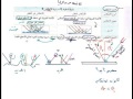 المحاضرة 28 كل مايخص الإنعكاس والمرايا المستوية والكروية ( المقعرة والمحدبة ) الجزء الأول