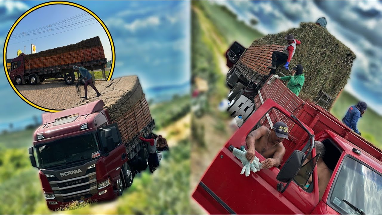 CARREGAMENTO DO ABACAXI NO SAPÉ-PB QUE CARGAO QUE DEU !!! 😱