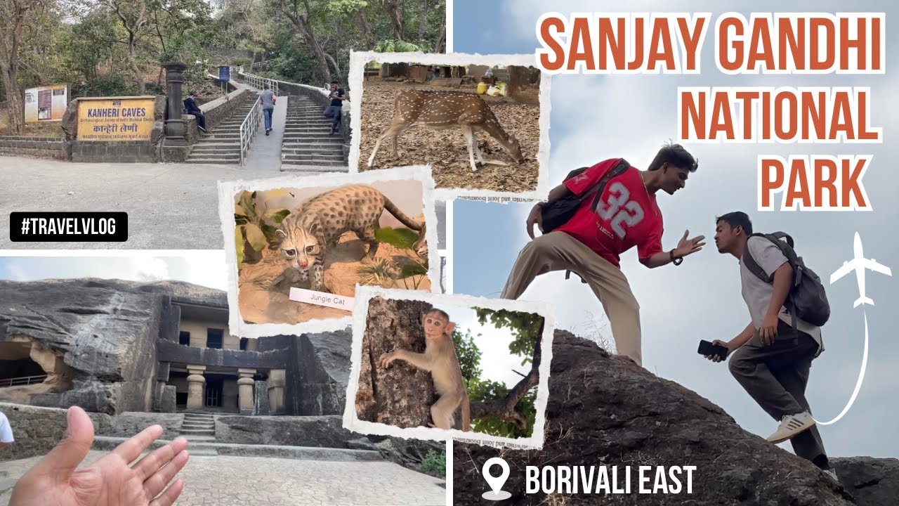 Sanjay Gandhi National Park Borivali Mumbai Complete Tour | Tiger Safari | Kanheri Caves |SGNP