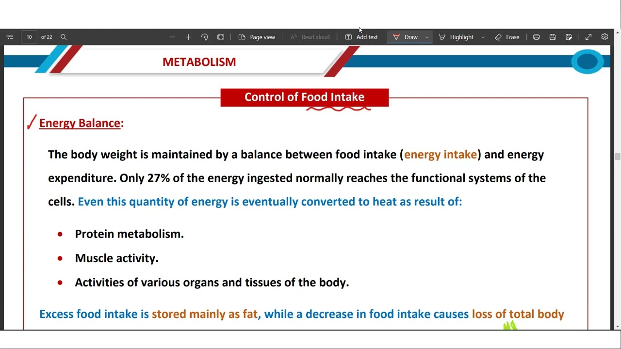 Metabolism-1 القصر العيني