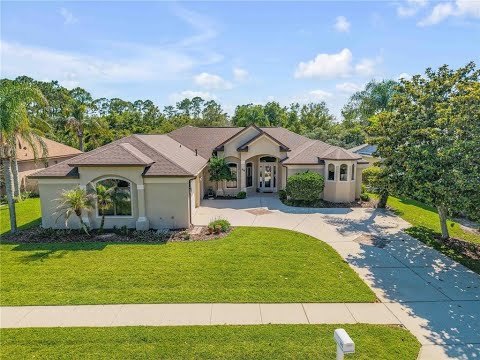 315 Eagles Eye Ct, New Smyrna Beach, FL home video tour