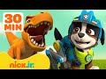 PAW Patrol Rex&#39;s Best Dino Rescues! 🦖! w/ Marshall &amp; Skye | 30 Minute Compilation | Nick Jr.