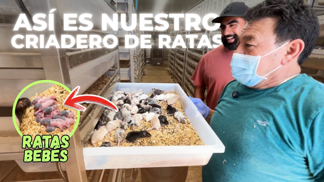 Descubre el secreto mejor guardado del rancho...