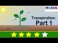 Transpiration and Stomatal Movement Quiz
