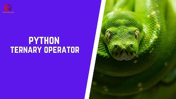 Python Beginner - Ternary Operator