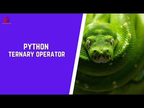 Python Beginner - Ternary Operator