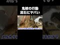 流石にコレは許せない…