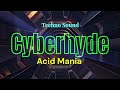 Acid Mania - Cyberhyde