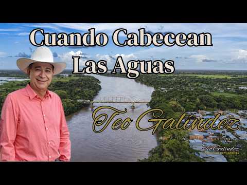 Cuando Cabecean las Aguas - Teo Galíndez #joropo #llanera #criollo