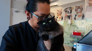 This Void gets his very first grooming with me 🙀