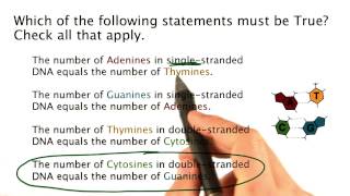Problem 7 - Tales from the Genome