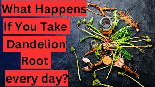 What Happens If You Take Dandelion Root every day?