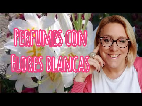 Perfumes con flores blancas 🌸💮🌼