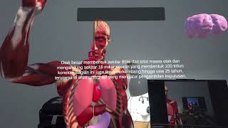 Belajar Anatomi Menggunakan Meta Quest + AI ( Prototype )