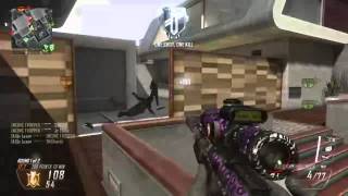 Raid Split Quad Feed Wealth
