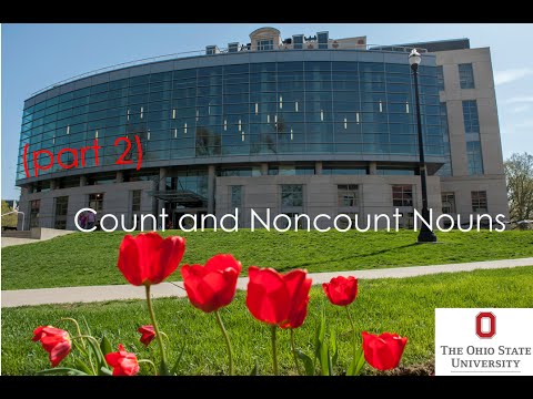 Count and Noncount Nouns (Part 2)