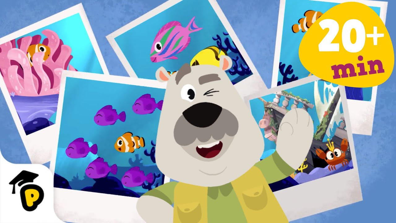 Ontdek het dierenleven in Dr. Panda | Kinderfilmpjes | Dr. Panda TotoTime Nederlands