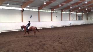 Msv B:5 20110909