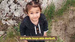 LÎLOZ DI KELA WANÊ DE KETE ÇALÊ./ Liloz Van Kalesinde çukura düştü