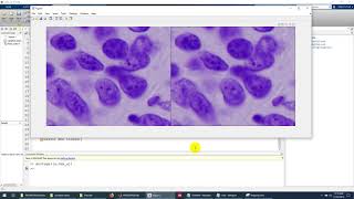 Calculating PSNR MSE SSIM using MATLAB