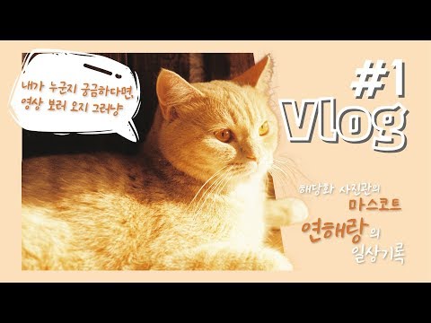 해당화사진관