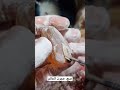 صنع حجرت الخاتم
