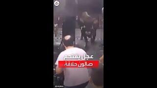 مشهد طريف لاقتحام عجل صالون حلاقة للرجال في مصر