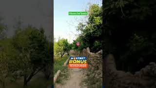 OBUNA BOʻLAMIZ #starwars #islom #milliy #uzbekistan #uzbekkino #abdulazizdomla #abdullohdomla #uzb