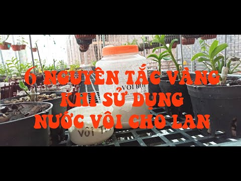 Video 6 NGUYÊN TẮC VÀNG KHI SỬ DỤNG NƯỚC VÔI CHO LAN - YouTube