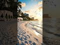 Siesta Key Paradise 🌴 Luxury Florida Beach Ambience for Relaxation & Peaceful Ocean Escape #florida