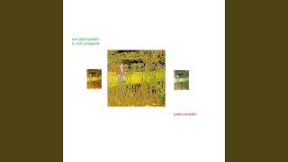 The Assassination of James Martin