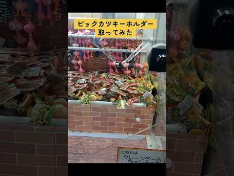 ビックカツキーホルダー取ってみた　#クレーンゲーム #ゲームセンター 　#10円キャッチャー 　#ufoキャッチャー 　#サンリオ 　#ポケモン　