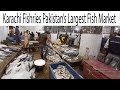 Karachi Fishery Largest Fish Market | Export Quality Fish & seafood | Current Price and Info