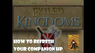 (Exiled Kingdoms)How to refresh your low hp companion easily without reloading