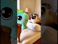 Cute Mask Chihuahua Prank 😳😂 | Cat Reaction